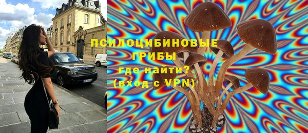 синтетический гашиш Краснослободск