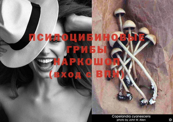 ECSTASY Красноперекопск