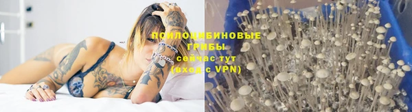 ECSTASY Красноперекопск