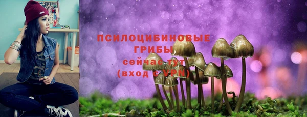 ECSTASY Красноперекопск